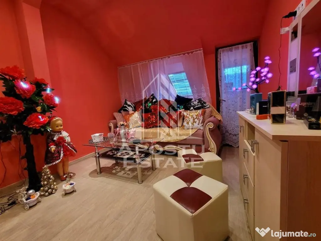 Apartament de vanzare cu 2 camere, decomandat, zona Aradului Timisoara - Timisoara (Timis)