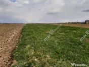 Eren intravilan 1400 mp de pe Valea Avrigului 