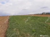 Eren intravilan 1400 mp de pe Valea Avrigului 