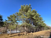 Teren intravilan Cisnadioara