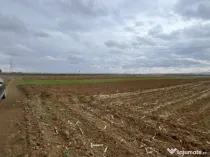 Teren extravilan 2500 mp,cu acces la Centura ,Radauti