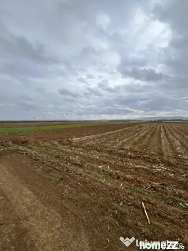 Teren extravilan 2500 mp,cu acces la Centura ,Radauti - Horodnic (Suceava)