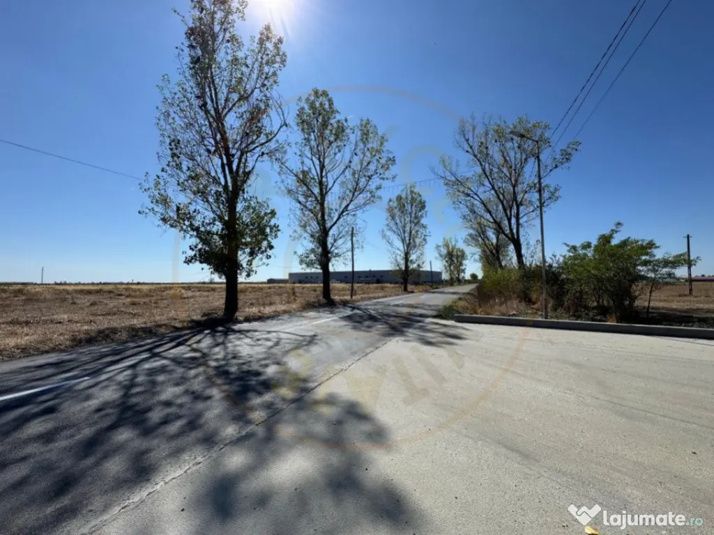 Teren extravilan de vânzare – Căteasca, Argeș | 27.201