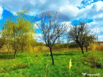 ZONA PREMIUM-TEREN INTRAVILAN