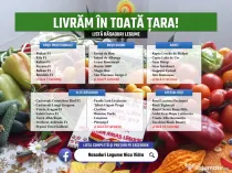 Rasaduri Rosii | Rasad Rosii Ardei Castraveti Vinete | Rasaduri Legume