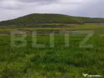 Teren extravilan 3621 mp, in Petrestii de Mijloc