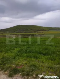 Teren extravilan 3621 mp, in Petrestii de Mijloc