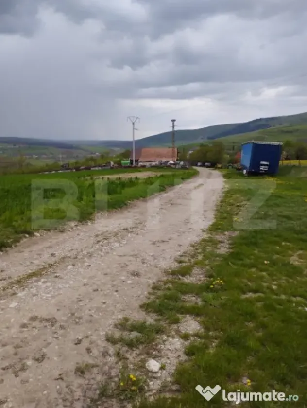 Teren extravilan 3621 mp, in Petrestii de Mijloc