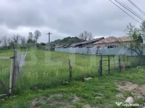 Teren de Vanzare in Bezdead