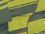 Teren intravilan 10.000 mp, zona Calea Cisnadiei 