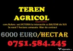 Teren AGRICOL categoria A- com Nufaru sat Victoria