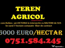 Teren AGRICOL categoria A- com Nufaru sat Victoria