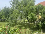 Casă unifamilială în Ghiroda cu teren generos 1752 mp