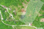 Teren 6700 mp, Apuseni, Pietroasa, Valea Aleului, Bihor, ...