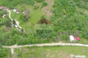 Teren 6700 mp, Apuseni, Pietroasa, Valea Aleului, Bihor, ...