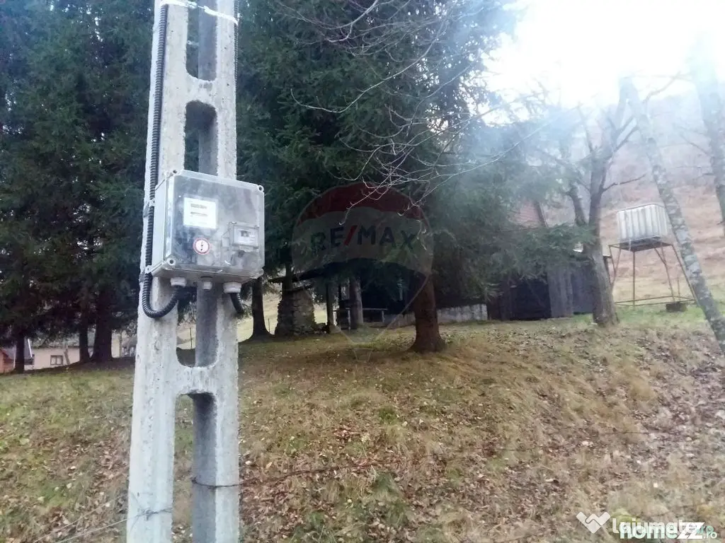 Teren 6700 mp, Apuseni, Pietroasa, Valea Aleului, Bihor, ...
