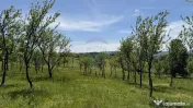 Oportunitate de investitie-TEREN DE VANZARE 
