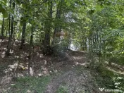 Teren de vanzare SE ACCEPTǍ SCHIMB CU PROPRIETǍȚI ÎN ... 