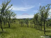 Teren de vanzare SE ACCEPTǍ SCHIMB CU PROPRIETǍȚI ÎN ... 