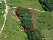 Teren de vanzare SE ACCEPTǍ SCHIMB CU PROPRIETǍȚI ÎN ... 