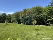 Teren de vanzare SE ACCEPTǍ SCHIMB CU PROPRIETǍȚI ÎN ... 