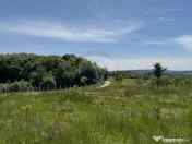 Teren de vanzare SE ACCEPTǍ SCHIMB CU PROPRIETǍȚI ÎN ... 