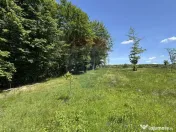 Teren de vanzare SE ACCEPTǍ SCHIMB CU PROPRIETǍȚI ÎN ... 