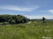 Teren de vanzare SE ACCEPTǍ SCHIMB CU PROPRIETǍȚI ÎN ... 