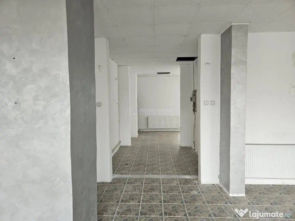 Spatiu comercial de inchiriat 110 mp Central Fieni