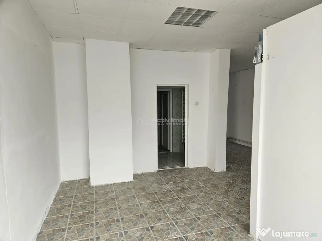 Spatiu comercial de inchiriat 110 mp Central Fieni