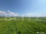 Teren Extravilan, 10.000 de mp, langa Centura Noua din Targu
