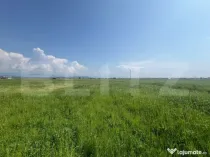 Teren Extravilan, 10.000 de mp, langa Centura Noua din Targu