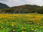 Hotel Tresor - Lepsa. 