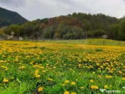 Hotel Tresor - Lepsa. 