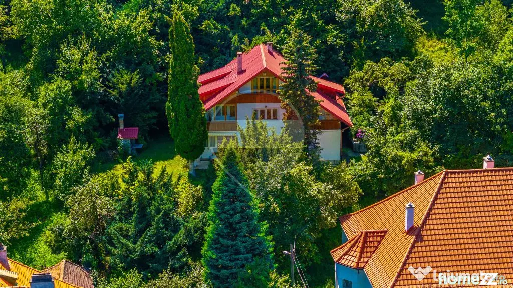 Vânzare 2 construcții, teren 3140 mp, în Centrul Istor...