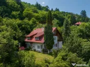 Vanzare două vile, cu potential investitional în Brașo... 