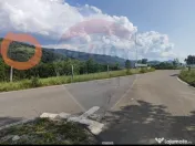 Teren 130000 mp extravilan, faneata si padure, Munteni - ... 