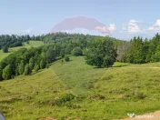 Teren 130000 mp extravilan, faneata si padure, Munteni - ... 