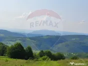 Teren 130000 mp extravilan, faneata si padure, Munteni - ... 