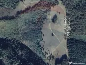 Teren 130000 mp extravilan, faneata si padure, Munteni - ... 