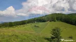 Teren 130000 mp extravilan, faneata si padure, Munteni - ...