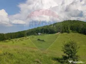Teren 130000 mp extravilan, faneata si padure, Munteni - ... 