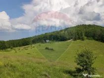 Teren 130000 mp extravilan, faneata si padure, Munteni - ...