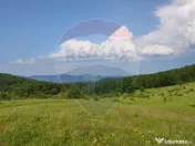Teren 130000 mp extravilan, faneata si padure, Munteni - ... 