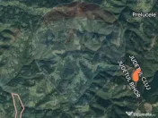 Teren 130000 mp extravilan, faneata si padure, Munteni - ... 