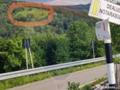 Teren 130000 mp extravilan, faneata si padure, Munteni - ... 