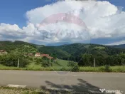 Teren 130000 mp extravilan, faneata si padure, Munteni - ... 