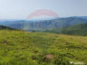 Teren 130000 mp extravilan, faneata si padure, Munteni - ... 