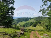 Teren 130000 mp extravilan, faneata si padure, Munteni - ... 