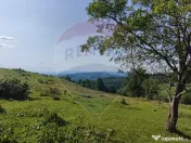 Teren 130000 mp extravilan, faneata si padure, Munteni - ... 